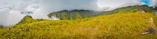 Grandes campos de hierba —  Fotos de Stock