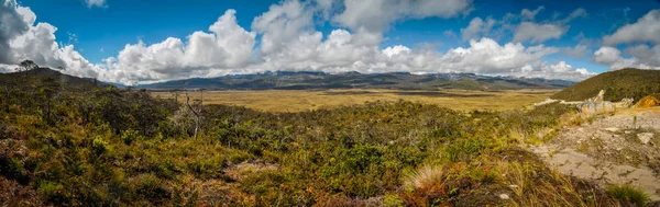 Naturaleza en las montañas — Foto de Stock