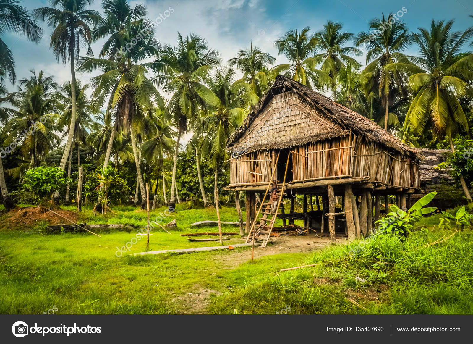  Maison  en bambou  en Palembe  Photographie MichalKnitl 