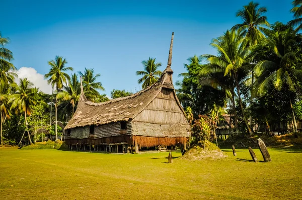 Huis in veld — Stockfoto