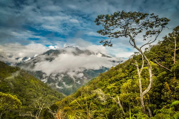 Nebbia mattutina a Wamena — Foto Stock