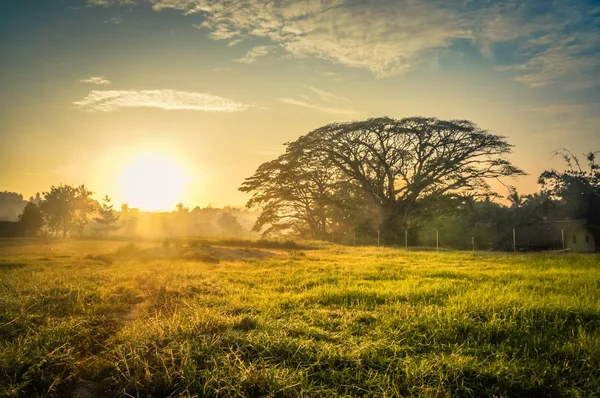 Morning mist in Maprik — Stock Photo, Image