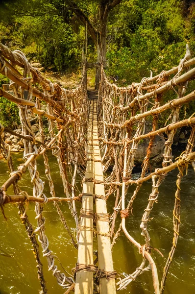 Bamboo bridge in Trikora — Stock Photo, Image