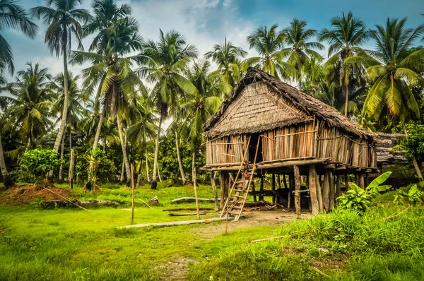 Бамбуковый дом в Палембе — стоковое фото