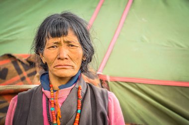 Nepal papatyanın yüz