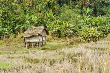 Arunachal Pradesh küçük bir evde