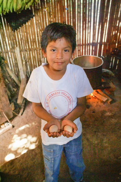 Niño con huevos de pollo en Bolivia — Foto de Stock