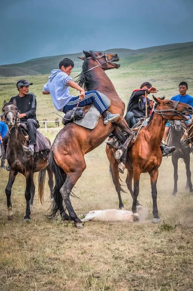 Angstige paard in Kirgizië — Stockfoto