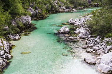 Ulusal parkta güzel vahşi nehir. Zümrüt rengi nehir f