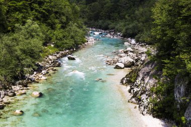 Ulusal parkta güzel vahşi nehir. Zümrüt rengi nehir f
