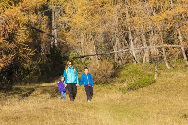 Etkin aile zaman hiking renkli ormanda harcama.