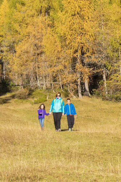 Familia activa que pasa el tiempo de excursión en los bosques coloridos . — Foto de Stock