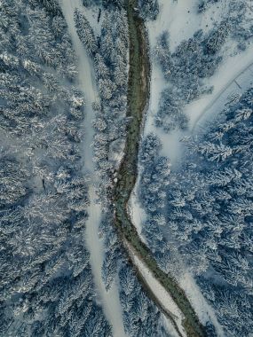 Havadan fotoğraf kar ve buzul Vadisi orman kaplı. Orman f