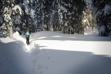 Kış ormanda yürüyüş bir uzun yürüyüşe çıkan kimse.