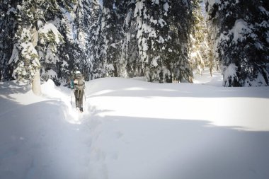 Kış ormanda yürüyüş bir uzun yürüyüşe çıkan kimse.