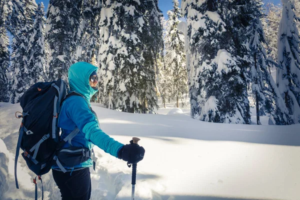 En vandrare vandring i winter woods. — Stockfoto