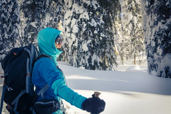 Um caminhante caminhando em florestas de inverno . — Fotografia de Stock