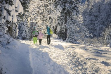 Family walk on the beautiful winter day.