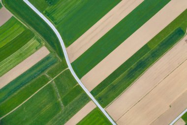 Buğday ve mısır tarlalarının üzerinde gün batımı. Bereketli topraklarda hava manzarası.