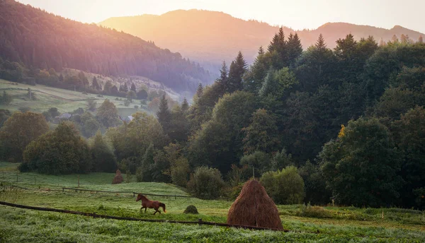 Karpaten. Morgen in den Bergen, der Stundenlauf — Stockfoto