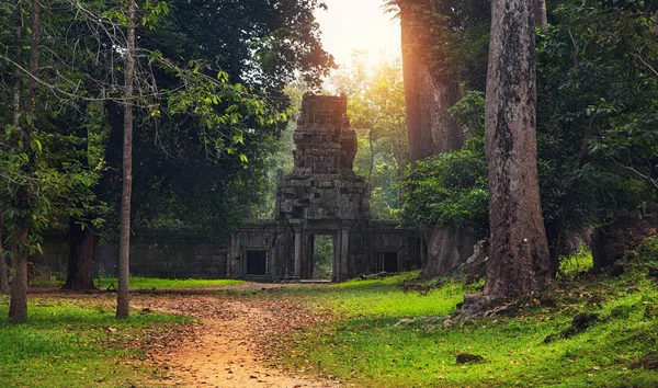 Angkor Wat, Khmer tapınak kompleksi, Asya parçası kalıntıları. Siem R — Stok fotoğraf