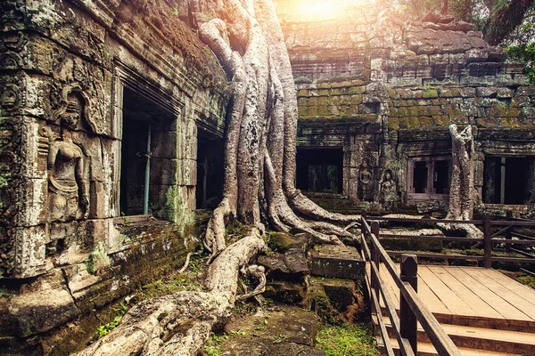 Antik tapınak taş kapı ve Ağaç kökleri, angkor wat, cambodia — Stok fotoğraf