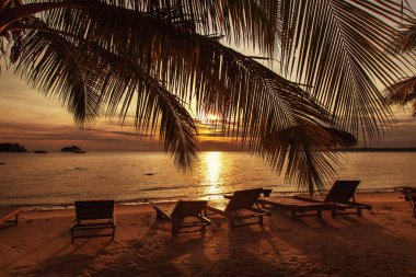 Beautiful sunset at the beach with palm trees and beach chair. H clipart