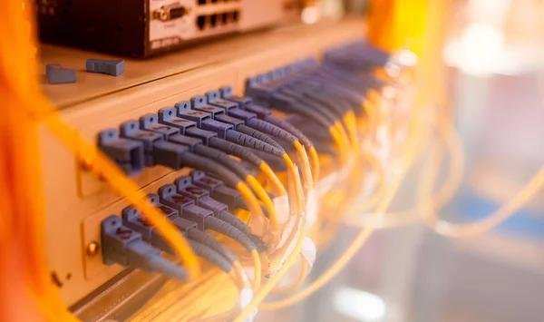 Cables de fibra óptica conectados a puertos ópticos y red UTP c —  Fotos de Stock