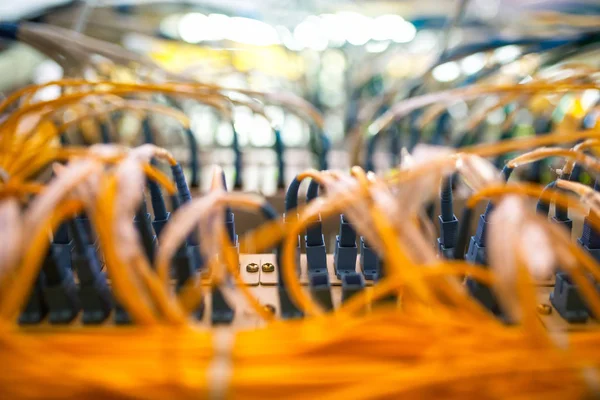 Fiber Optic kabels aangesloten op een optische poorten en Utp netwerk c — Stockfoto