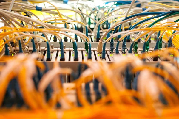 Fiber Optic kablar anslutna till en optik hamnar och Utp nätverk c — Stockfoto