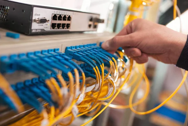 Волоконно-оптические кабели, подключенные к оптическим портам и UTP Network c — стоковое фото