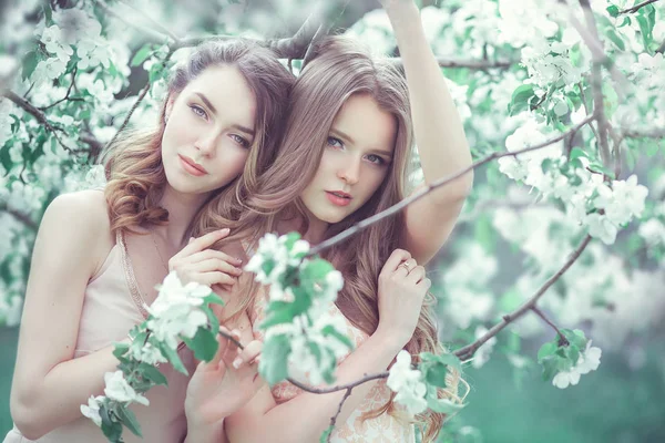 Retrato romântico de duas jovens mulheres muito bonitas em tre de maçã — Fotografia de Stock