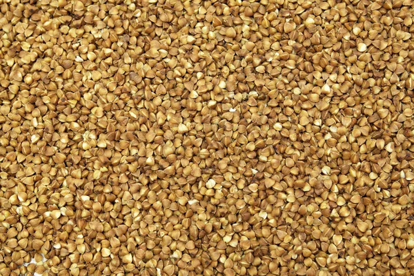 Texture Buckwheat Background Buckwheat — Stock Photo, Image