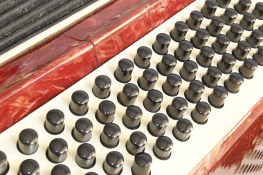 En yakın plan düğme akordeonu