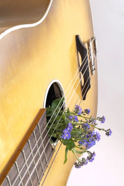 Beyaz arkaplanda tek bir dizgi olmadan gitar