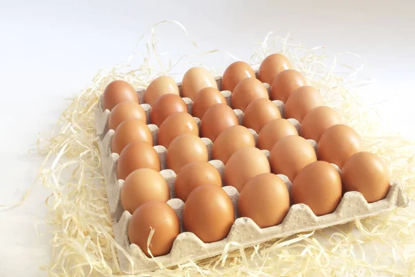 Αυγά Κότας Κομμάτια Στο Σανό Royalty Free Εικόνες Αρχείου