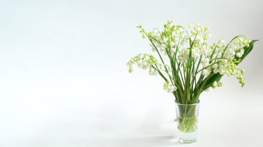 Kar beyazı orman zambakları vadi