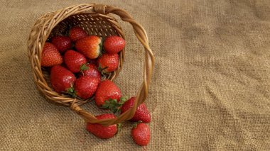 Sepetten çilekler döküldü.