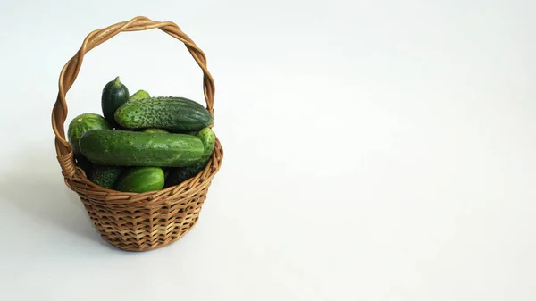 Beyaz arka planda sepette salatalıklar