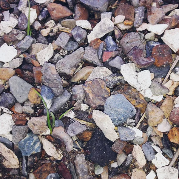 Sea stones by the sea