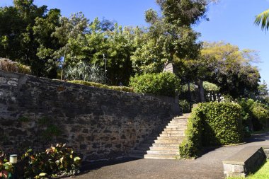 Santa Catarina Funchalon Adası Madeira Portekiz limanda bakan Park gölgeli ağaçlar, çeşmeler ve çimenler, şehir merkezinde bir cennettir.