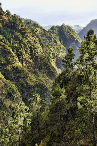 Vallei Van Nonnen Bergen Boven Funchal Madeira Genoemd Omdat Toen — Stockfoto
