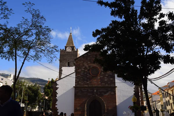 Katedra Maderze Drzewa Głównego Zakupy Ulic Funchal Madera Portugalia Ozdób — Zdjęcie stockowe