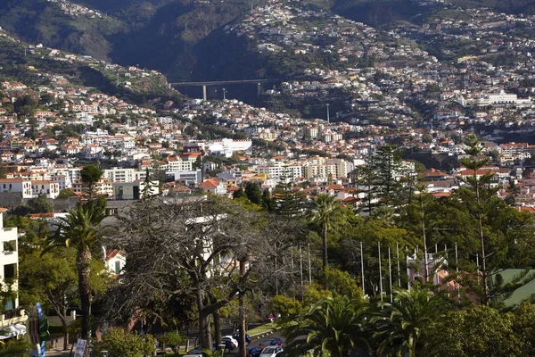 Вид Фуншал Столица Острова Мадейра Отличающиеся Дома Крыши Кажется Наваливаются — стоковое фото