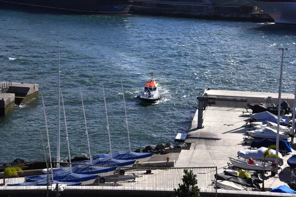 Bateau Pilote Dans Port Funchal Sur Île Madère Portugal Est — Photo