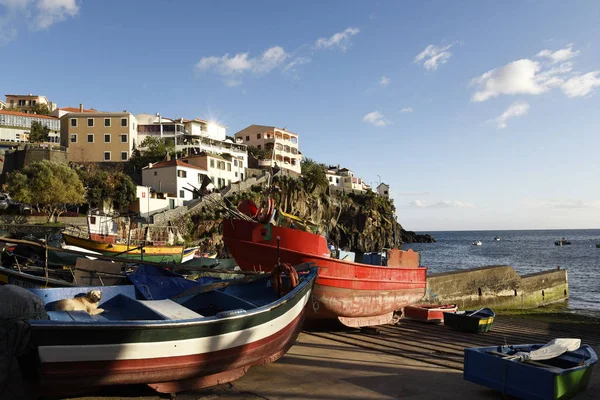 Camara Lobos Picturesque Fishing Village High Cliffs City Funchal Madeira — стоковое фото