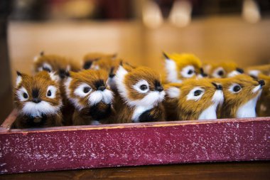 Monte Baldo dağı İtalya 'daki Garda Gölü kıyısındaki Malcesine tatil beldesinin arkasındadır. Dağın tepesine bir teleferik ulaşır ve tepesinde Alpaca ve koyunlarla birlikte dağlık çayırlar ve bir hediyelik eşya dükkanı vardır. Paragliderler rüzgarı yakalayıp aşağı atlarlar.