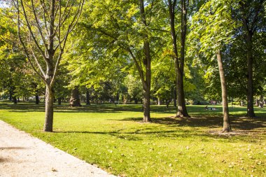 The spectacular fountains in the public park In the Danube River, between Buda and Pest, verdant Margaret Island which is a tranquil getaway within the city. Pedestrian promenades navigate around parkland ant there is an art nouveau water tower.