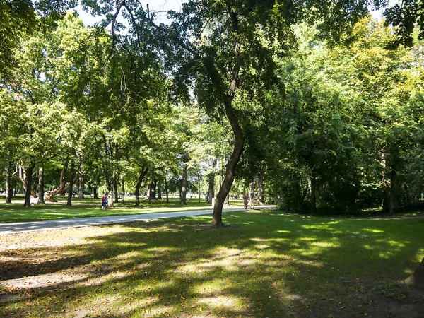 Látványos Szökőkutak Nyilvános Parkban Dunában Buda Pest Között Csendes Margit — Stock Fotó