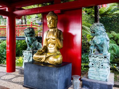 Tropical Garden at Monte above Funchal Madeira.This wonderful garden is at the top of the cablecar from the seafront in Funchal. It is filled with trees, plants and flowers. It has a lake with an impressive waterfall 